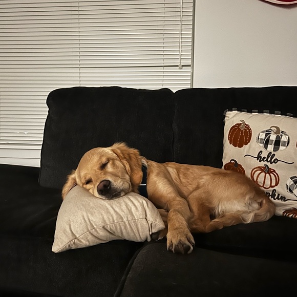 A little bit about me:) - Picture 11 of 11